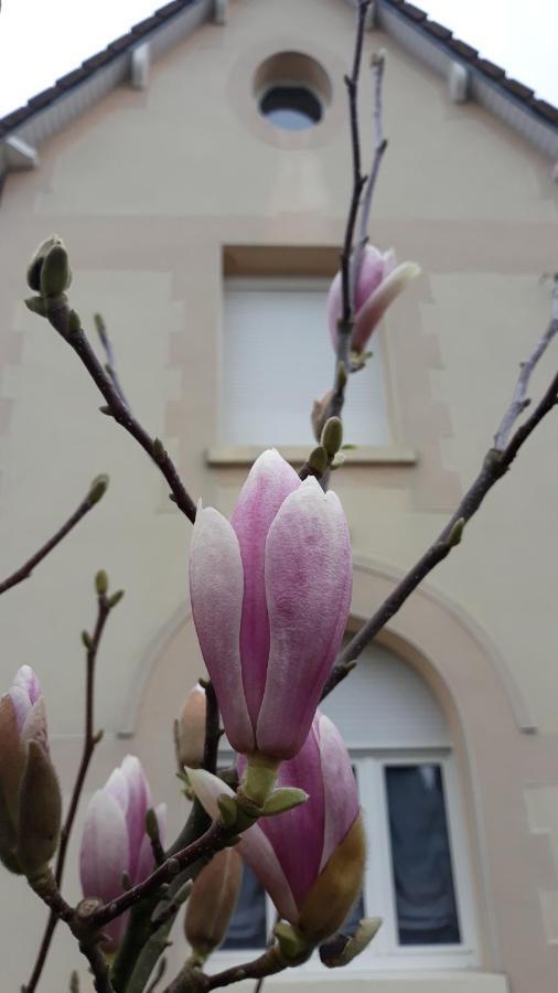 Le Gite Du Magnolia Willerval Exterior foto
